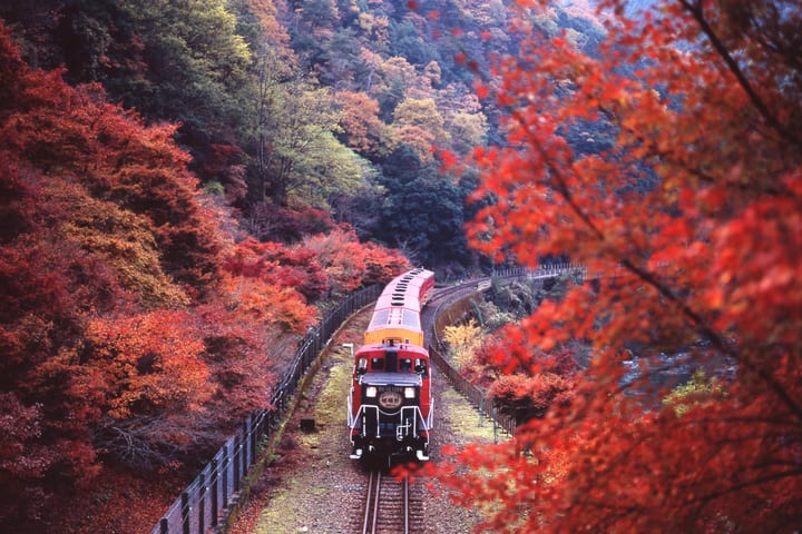 【保证出行】京都嵯峨野小火车、保津川游船与岚山漫步