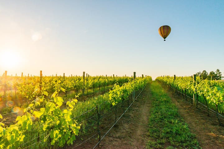 Balon udara panas matahari terbit dengan sarapan sampanye+foto di Hunter Valley