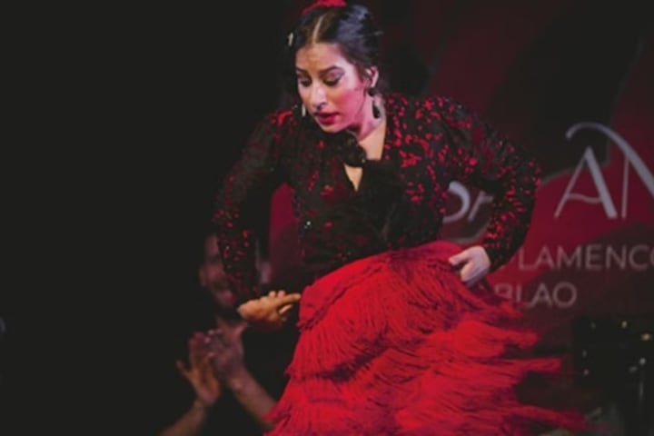 Traditional flamenco show at Casa Ana ticket in Granada