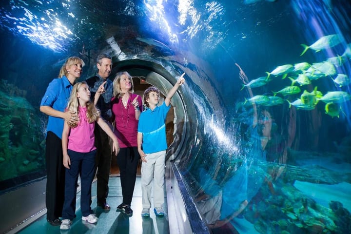 Tiket SEA LIFE Aquarium di Orlando
