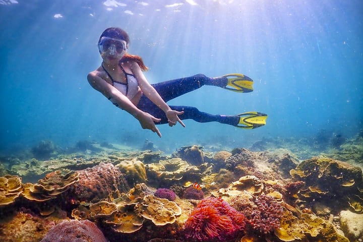 Enjoy Nemo and Pattaya One Day Tour dari Bangkok atau Pattaya