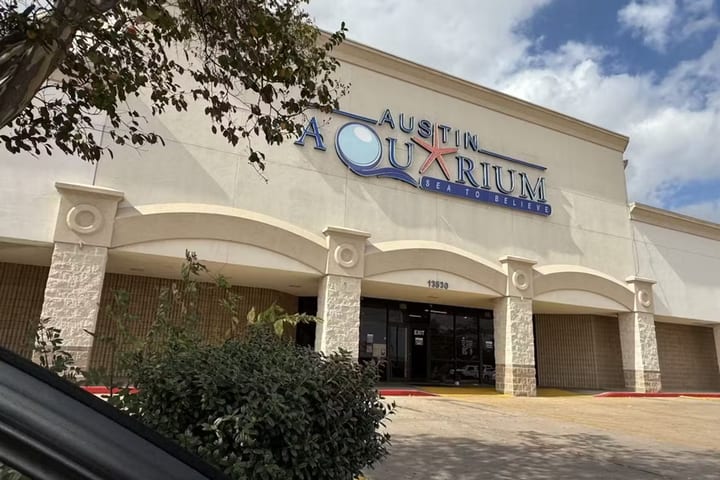 Austin Aquarium Ticket