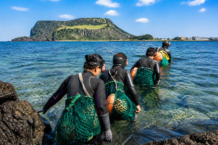 Jeju UNESCO Sites Full-Day Group Tour