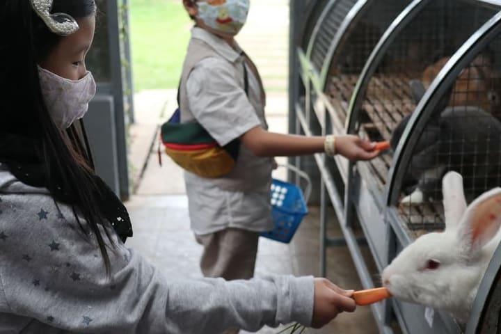 万隆 Jendela Alam 动物乐园门票