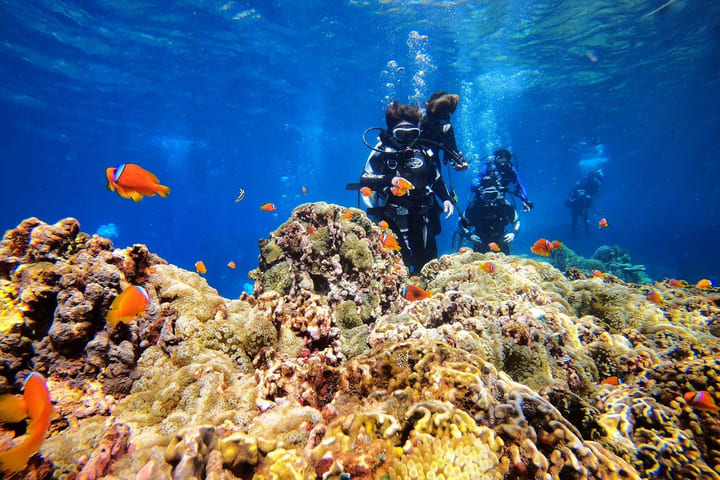 Taitung｜Lanyu Lante Diving｜Discover Scuba Diving