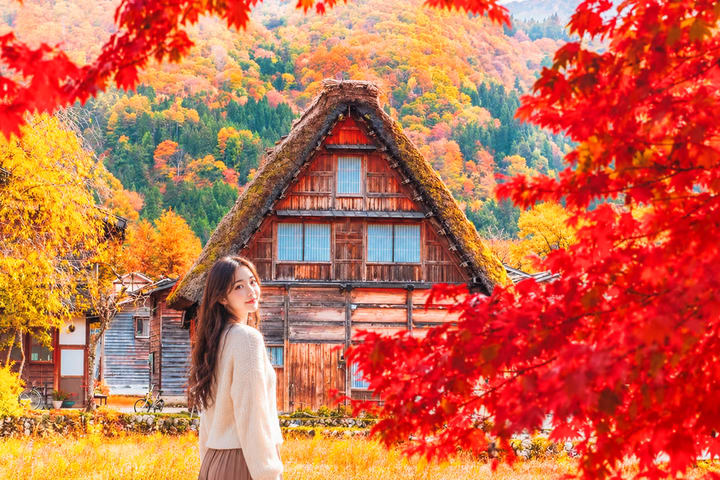 Gifu: Tur Sehari Keliling Shirakawa-go Gassho Village & Hida Takayama, Grup Kecil Eksklusif (Berangkat dari Nagoya, Pilihan Penjemputan Hotel)