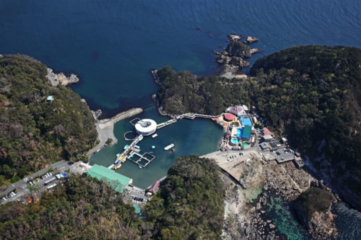 静冈下田海中水族馆门票