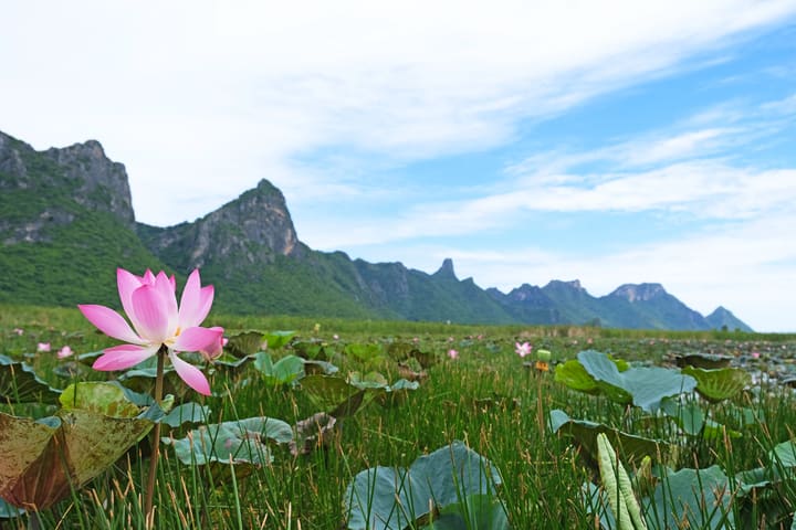 Hua Hin Khao Sam Roi Yot National Park Customized Day Tour