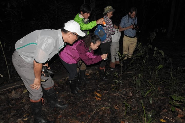 4D3N Sepilok Wildlife Tour dengan Pengalaman Kinabatangan River Cruise di Sandakan