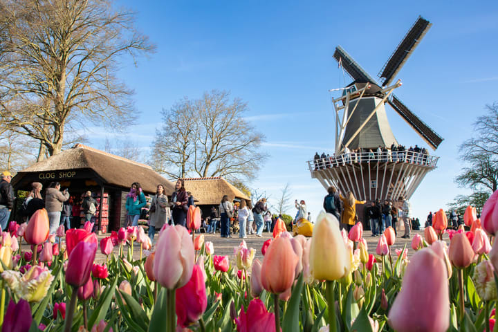 Keukenhof Tours dengan Countryside dan Cruise