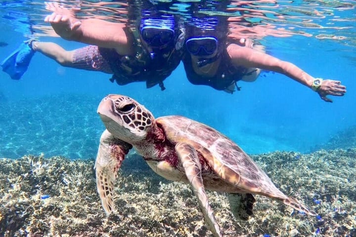 Miyako-jima: Pengalaman Snorkeling dan Caving (Okinawa)