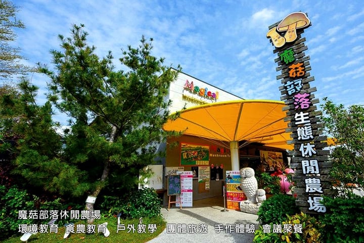 Tiket Magical Mushrooms Tribe dan Pengalaman DIY di Changhua
