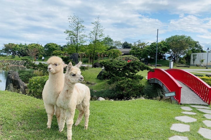 Dancewoods Japanese Garden Theme Park Ticket in Yilan