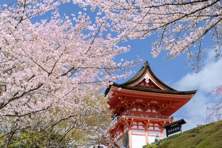 京都1日黄金路线巴士之旅