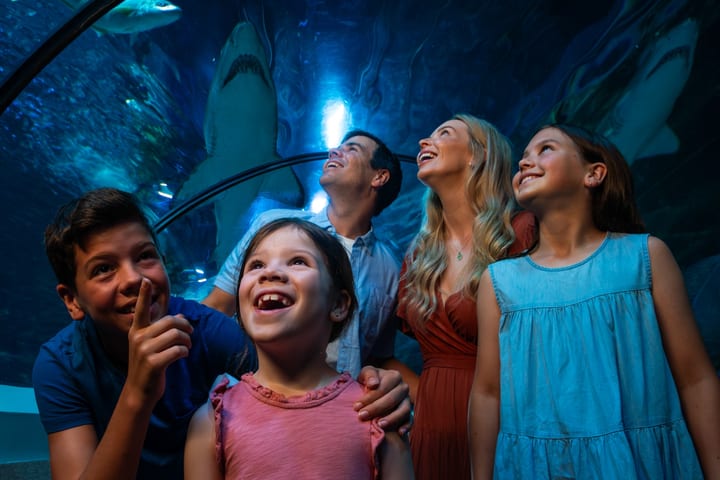 阳光海岸 SEA LIFE 水族馆门票