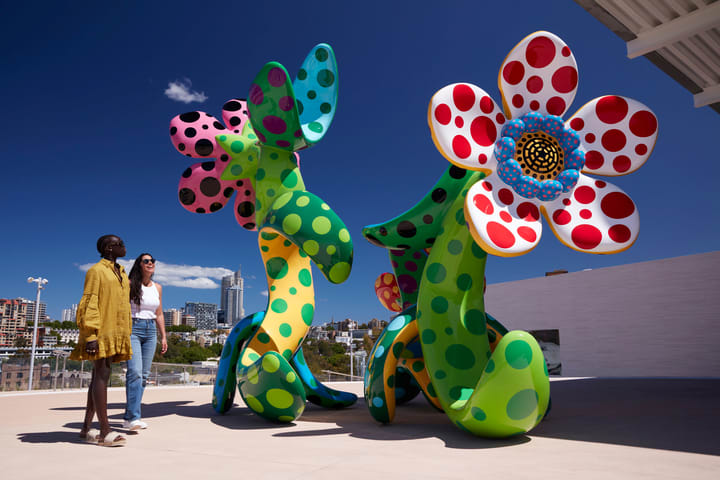 Art Gallery of New South Wales Ticket and Guided Tours
