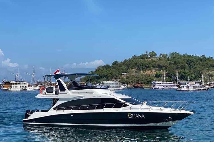 Full Day Speedboat Tour dari Labuan Bajo