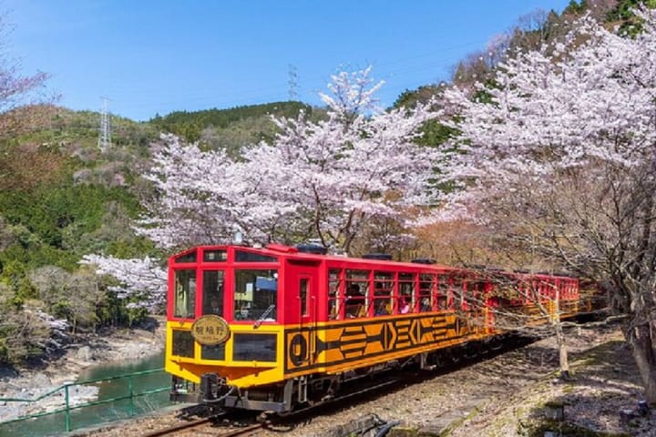 京都保津川游船与嵯峨野游览小火车之旅