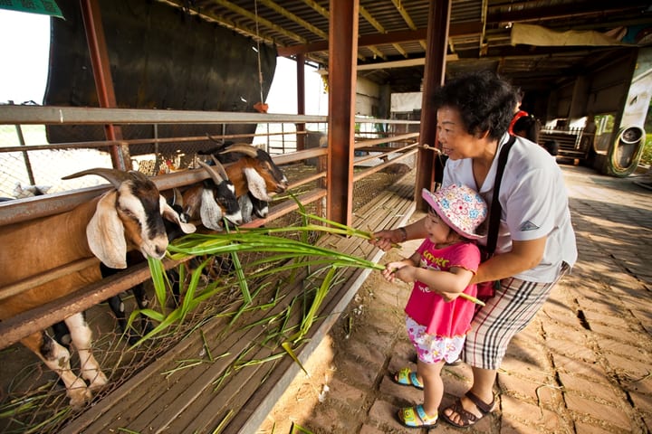 Tiket Keda Goat Farm di Yilan