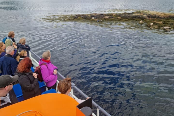 Seal island cruise experience in Fort William
