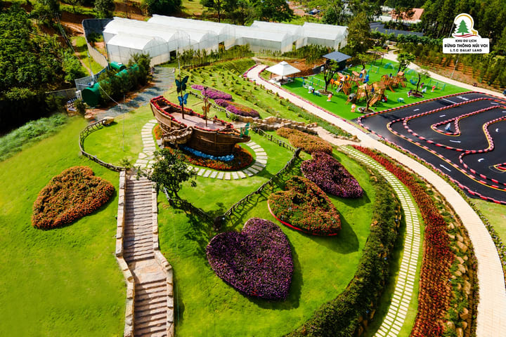 Dalat Elephant Mountain Pine Forest Ticket