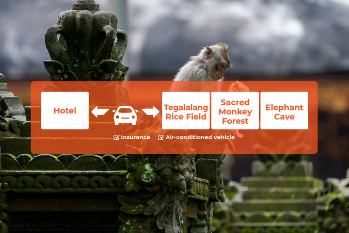 Central Bali Full Day Tour: Tegalalang Rice Field, Sacred Monkey Forest, Elephant Cave