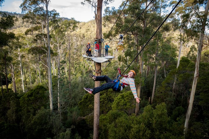 Hollybank Zipline, Segway, dan Tree Ropes di Launceston