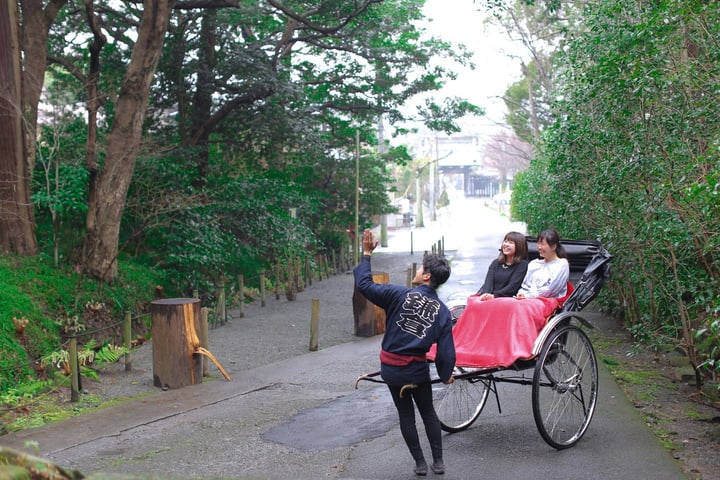 镰仓人力三轮车体验