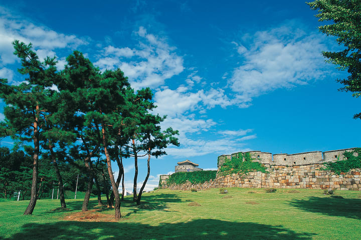 Tur Suwon Hwaseong dari Seoul