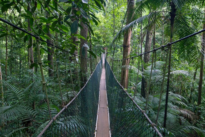 Taman Negara Nature Tour with Lata Berkoh Falls & River Expedition