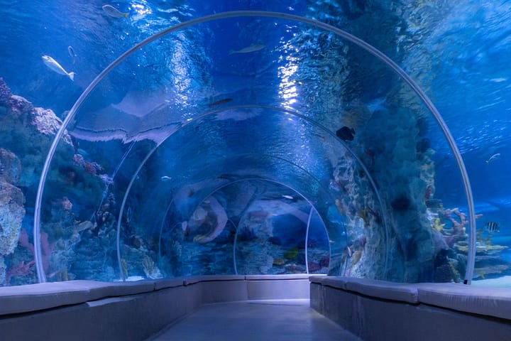 伊斯坦布尔 Emaar 水族馆 & 水下动物园门票