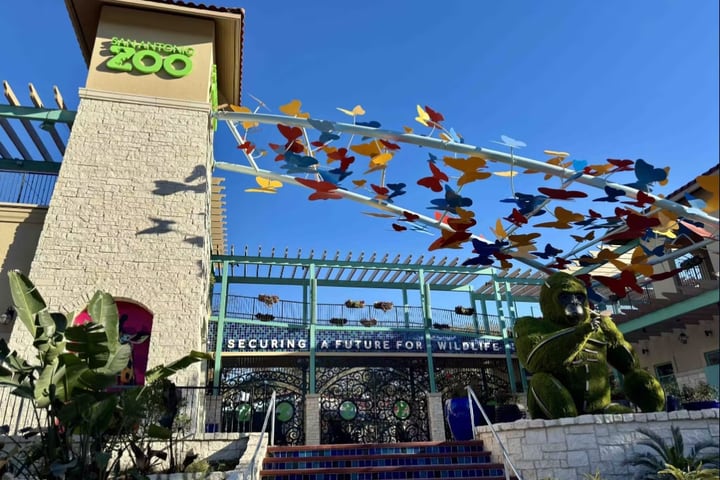 Tiket San Antonio Zoo