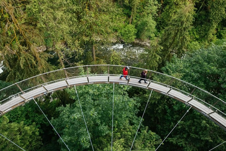 Capilano Suspension Bridge Park Ticket in Vancouver
