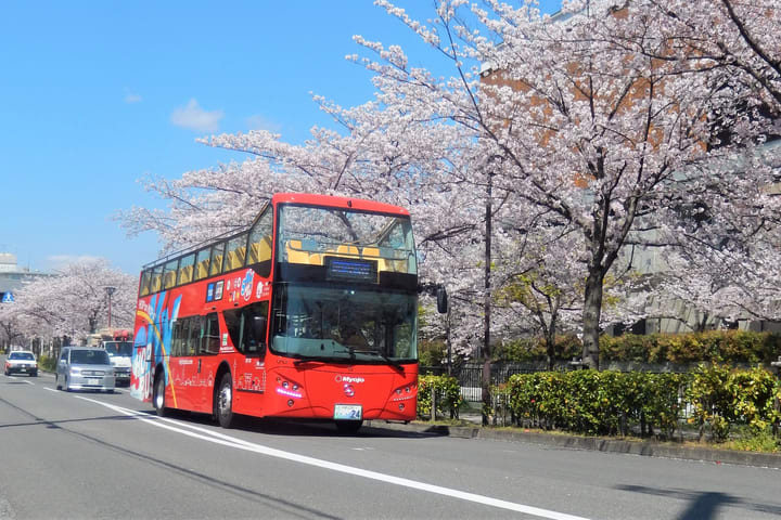 Bus wisata Kyoto Hop-On Hop-off dari Skyhop Bus (tiket 1 hari / 2 hari)