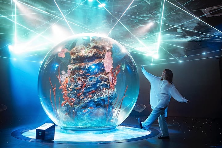 神户都市型水族馆 AQUARIUM ART atoa 门票
