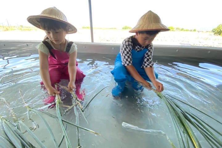 Yilan | Chummy Farm | Pengalaman DIY Roti Bawang Kreatif & Pai Bawang (Cōng Yóu Bǐng)