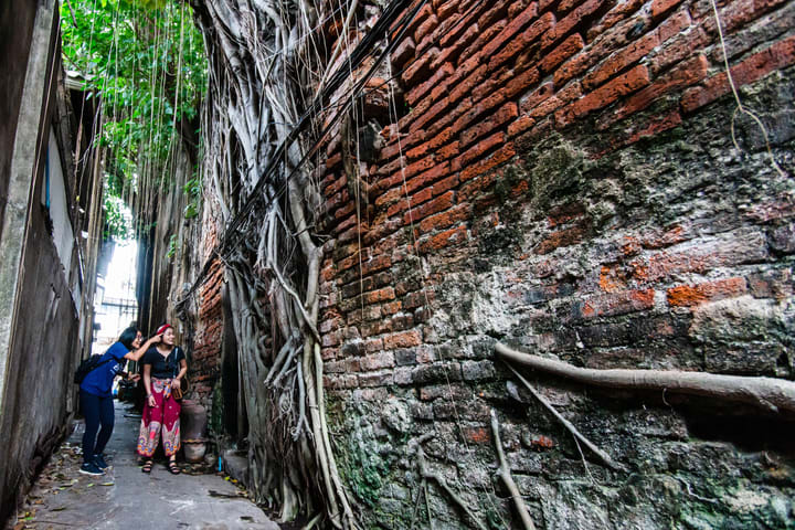 Bangkok Chinatown Half-Day Private Guided Tour