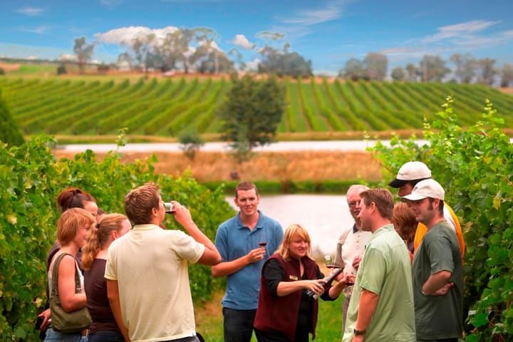 Yarra Valley Wine Experience Guided Day Tour