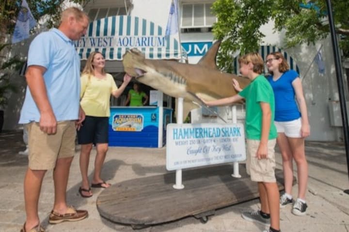 Tiket Masuk Key West Aquarium di Key West