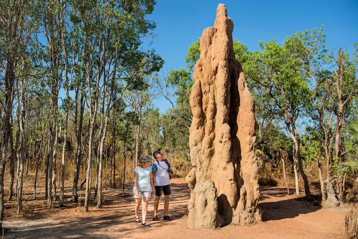 Litchfield National Park Tour