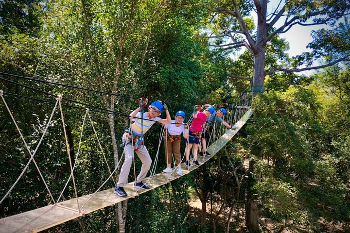 Zipline Experience in Hua Hin by Tree Top Adventure Park