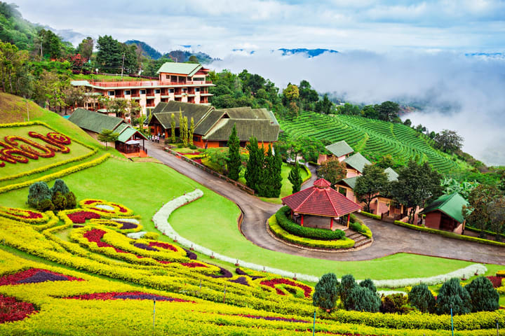 Chiang Rai Doi Tung & Doi Mae Salong Full-Day Tour