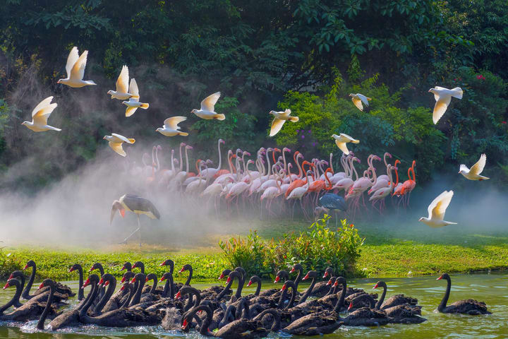 Chimelong Birds Park Guangzhou