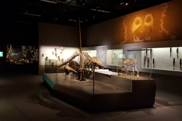 Tiket Lee Kong Chian Natural History Museum di Singapura