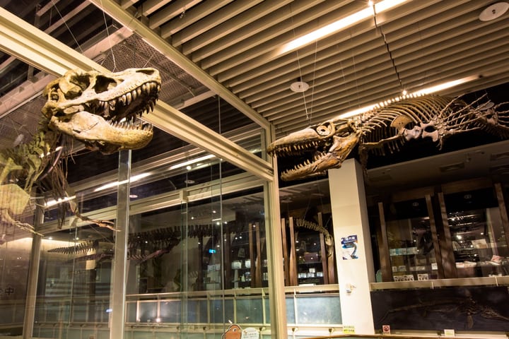 Tree Valley Life Science Museum Ticket in Tainan