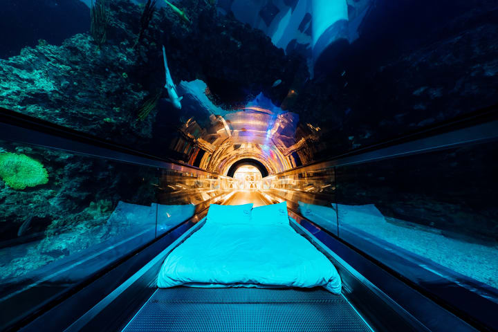 Kenting: Sleepover Experience di National Museum of Marine Biology & Aquarium