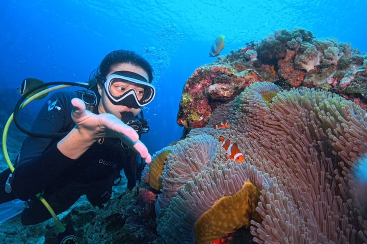 Green Island Shuiqing Diving | Pengalaman Menyelam Gratis Foto Instan Bawah Air | Snorkeling Kelompok Kecil | Eksplorasi Rahasia Gua Biru