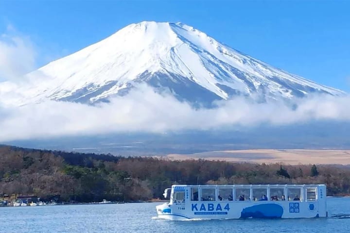【富士山双湖体验游】平野之滨&山中湖漫步/KABA水陆两栖巴士/山中湖天鹅湖号游览船&忍野八海&河口湖体验一日游（东京出发）