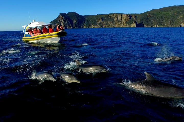 Tur Kapal Pesiar Pulau Tasman dari Port Arthur