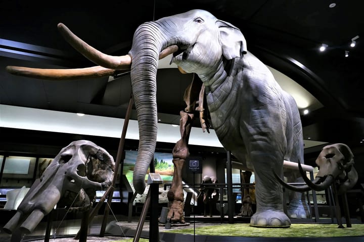 Tiket Masuk Lake Biwa Museum di Shiga